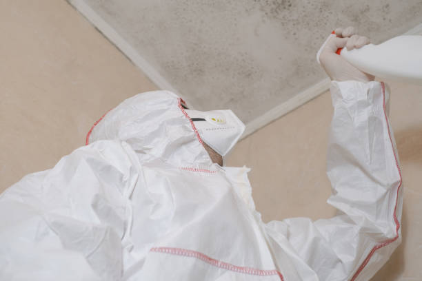 Best Mold Removal Process  in Lyons, CO