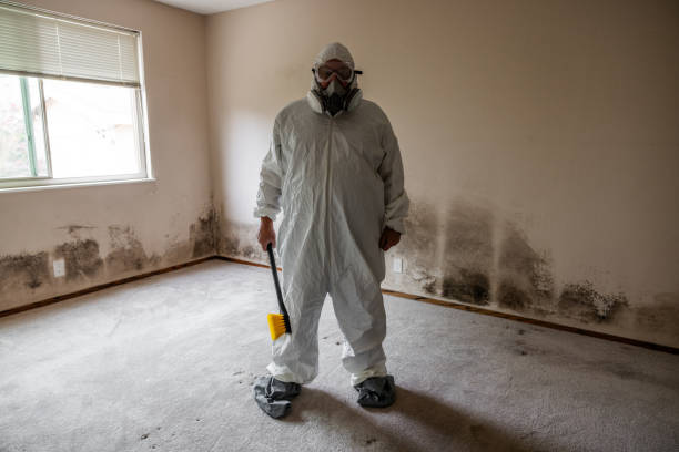 Best Home Mold Removal  in Lyons, CO